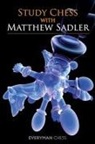 Matthew Sadler - Study Chess With Matthew Sadler