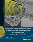 Reshef Tenne, Reshef Tenne - INORG NANOMATER FR NANOTUBE TO FULLERE