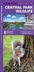 James Kavanagh, James/ Leung Not Available (NA)/ Kavanagh, Waterford Press, Raymond Leung - Central Park Wildlife