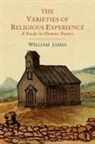 William James - The Varieties of Religious Experience