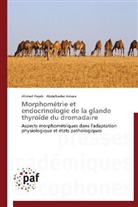 Abdelkader Amara, Ahme Rejeb, Ahmed Rejeb - Morphometrie et endocrinologie de