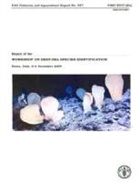 Food and Agriculture Organization of the, Food and Agriculture Organization of the United Na, Food and Agriculture Organization (Fao) - Report of the Workshop on Deep-sea Species Identification