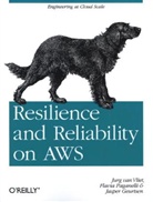 Jurg Van Fliet, Jasper Geurtsen, Flavia Paganelli, Jurg Van Fliet, Van Fliet Jurg, Jurg Van Vliet... - Resilience and Reliability on AWS