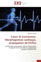 Sébastien Alcoléa, Alcolea-s - Coeur et connexines. morphogenese