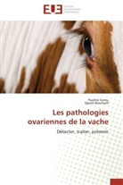 Djemil Bencharif, Paulin Cornu, Pauline Cornu - Les pathologies ovariennes de la