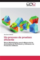 Ana Sanz Esteban - Un proceso de pruebas eficiente