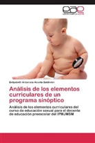 Betzabeth Antonieta Acosta Baldivián - Análisis de los elementos curriculares de un programa sinóptico