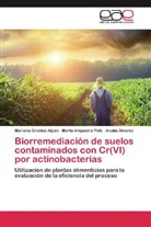Ál, Analía Álvarez, Mariana Cristin Atjian, Mariana Cristina Atjian, Marta Alejandr Polti, Marta Alejandra Polti - Biorremediación de suelos contaminados con Cr(VI) por actinobacterias