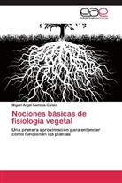 Miguel Angel Gamboa-Gaitán - Nociones básicas de fisiología vegetal