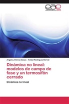 Ángel Jiménez Casas, Ángela Jiménez Casas, Aníbal Rodríguez Bernal - Dinámica no lineal: modelos de campo de fase y un termosifón cerrado