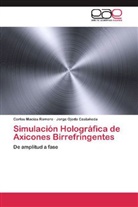 Jorge Ojeda Castañeda, Carlo Macías Romero, Carlos Macías Romero - Simulación Holográfica de Axicones Birrefringentes