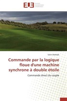 Salim Mahdab, Mahdab-S - Commande par la logique floue d