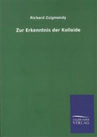 Richard Zsigmondy - Zur Erkenntnis der Kolloide