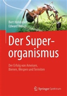 Hölldoble, Ber Hölldobler, Bert Hölldobler, Wilson, Edward Wilson, M. C. Nelson... - Der Superorganismus