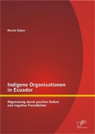 Nicole Gabor - Indigene Organisationen in Ecuador