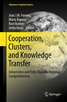 Joao J M Ferreira, João J. M. Ferreira, João J.M. Ferreira, Mári Raposo, Mário Raposo, Roel Rutten... - Cooperation, Clusters, and Knowledge Transfer