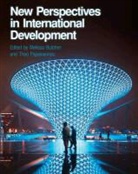 Melissa Butcher, Melissa Papaioannou Butcher, Theo Papaioannou, Melissa Butcher, Theo Papaioannou - New Perspectives in International Development