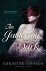 Christine Johnson - The Gathering Dark