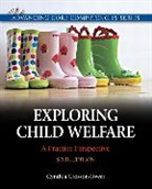 Cynthia Crosson-Tower - Exploring Child Welfare