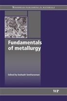 Seshadri Seetharaman, S Seetharaman, S. Seetharaman, Seshadri Seetharaman - Fundamentals of Metallurgy