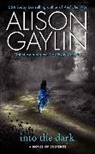 Alison Gaylin - Into the Dark