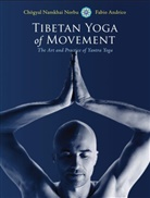 Fabio Andrico, Namkhai, Chogyal Namkhai Norbu, Fabio/ Barry Namkhai Norbu/ Andrico, Chogyal Namkhai Norbu - Tibetan Yoga of Movement