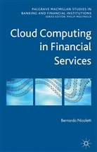 B Nicoletti, B. Nicoletti, Bernardo Nicoletti, Nicoletti Bernardo - Cloud Computing in Financial Services