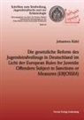 Johannes Kühl - Die gesetzliche Reform des Jugendstrafvollzuges in Deutschland im Licht der European Rules for Juvenile Offenders Subject to Sanctions or Measures (ERJOSSM)