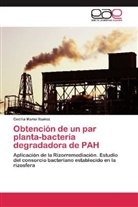 Cecilia Mariel Ibañez - Obtención de un par planta-bacteria degradadora de PAH