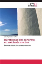 Lidia Argelia Juárez Ruiz - Durabilidad del concreto en ambiente marino