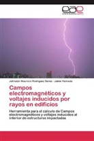 Johnatan Maurici Rodríguez Serna, Johnatan Mauricio Rodríguez Serna, Jaime Valencia - Campos electromagnéticos y voltajes inducidos por rayos en edificios