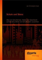 Jan Chr. Cwik, Jan Christopher Cwik - Schule und Stress