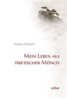 Stephen Schettini - Mein Leben als tibetischer Mönch