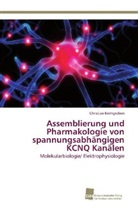 Christian Beimgraben - Assemblierung und Pharmakologie von spannungsabhängigen KCNQ Kanälen