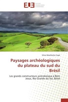 Cope-s, Silvia Moehlecke Copé - Paysages archeologiques du