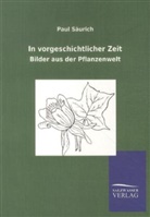 Paul Säurich - In vorgeschichtlicher Zeit