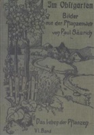 Paul Säurich - Im Obstgarten