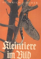 Heinrich Fischer-Roth - Kleintiere im Bild