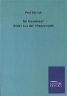 Paul Säurich - Im Gewässer