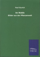 Paul Säurich - Im Walde