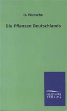 O Wünsche, O. Wünsche, Otto Wünsche - Die Pflanzen Deutschlands