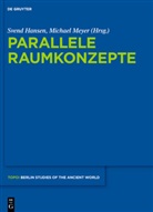 Sven Hansen, Svend Hansen, Meyer, Meyer, Michael Meyer - Parallele Raumkonzepte