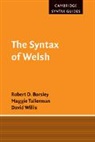 Robert D. Borsley, Robert D. Tallerman Borsley, BORSLEY ROBERT D TALLERMAN MAGG, Borsley Robert D., Maggie Tallerman, Tallerman Maggie... - Syntax of Welsh