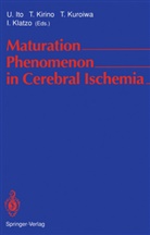 U. Ito, Umeo Ito, Kirino, T Kirino, T. Kirino, I. Klatzo... - Maturation Phenomenon in Cerebral Ischemia