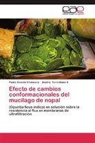 Pedr Grande Villanueva, Pedro Grande Villanueva, Beatriz Torrestiana S - Efecto de cambios conformacionales del mucílago de nopal
