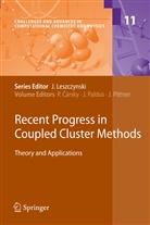 Petr Cársky, Jose Paldus, Josef Paldus, Jirí Pittner - Recent Progress in Coupled Cluster Methods