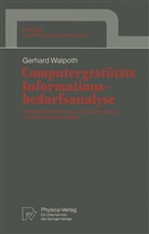 Gerhard Walpoth - Computergestützte Informationsbedarfsanalyse
