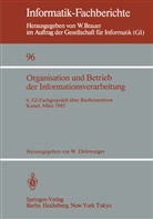 Werne Dirlewanger, Werner Dirlewanger - Organisation und Betrieb der Informationsverarbeitung