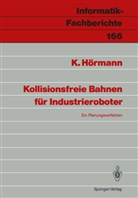 Klaus Hörmann - Kollisionsfreie Bahnen für Industrieroboter