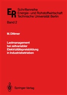 Manfred Dittmer - Lastmanagement bei zeitvariabler Elektrizitätspreisbildung in Industriebetrieben